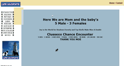 Desktop Screenshot of cape-lewisporte.be